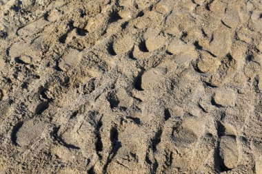 Kumsalın kumları, Polonya 'nın Sopot tatil beldesindeki Baltık Denizi kıyısında yürüyen insanların ayak izleriyle dolu..