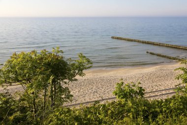 Baltık Denizi kıyı manzarasının dalgalı suları ve kumlu plajı. Kum tepelerini aşan bitkiler. Ustronie Morskie, Batı Pomerania, Polonya.