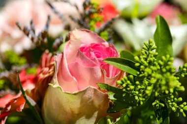 Renkli bir bukette bir gül çiçeği domine eder, diğer bitkiler de bir demet çiçekte görülebilir..