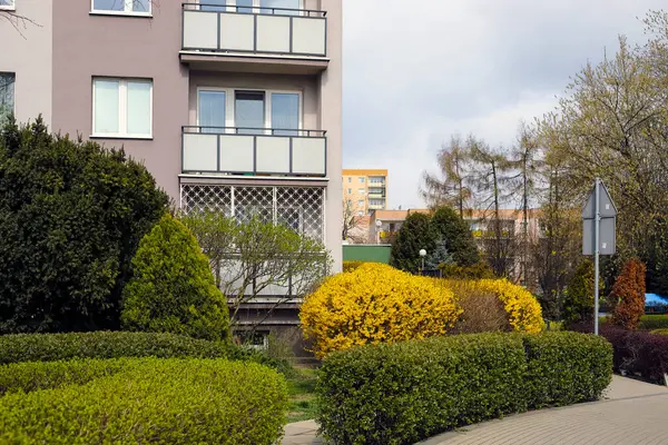 Varşova, Polonya - 31 Mart 2025: Bir apartman bloğunun yanındaki bitki örtüsü. Dairelerden birinin balkonunda çelik ızgaralar vardı..