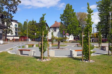 Mielno, Polonya - 23 Mayıs 2025: Küçük, yuvarlak meydanın etrafında banklar var. Merkezine küçük bir palmiye ağacı dikildi. Etrafına başka ağaçlar dikildi..