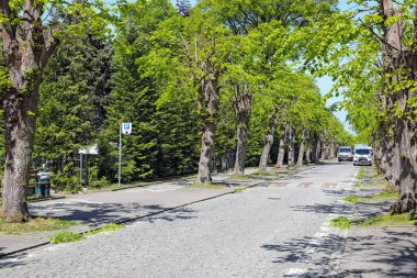 Mielno, Polonya - 21 Mayıs 2025: Sahil kasabasından geçen bir kaldırım taşı caddesi. Sokağın iki tarafında da sıra sıra sıra ağaçlar var. Sokaklar çok kalabalık değil..