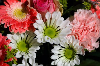 Karışık bir çiçek aranjmanı görülebilir. İçinde gerbera papatyaları ve karanfiller var. İlave çiçekler de görülebilir..