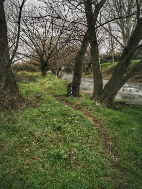 Nehir boyunca güzel bir patika.