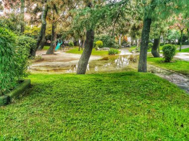 Ağaçlarla dolu büyük bir park.