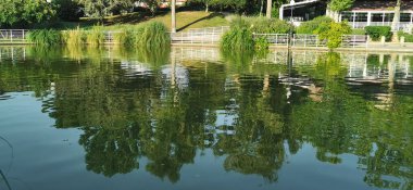 Büyük gölü olan güzel bir park.