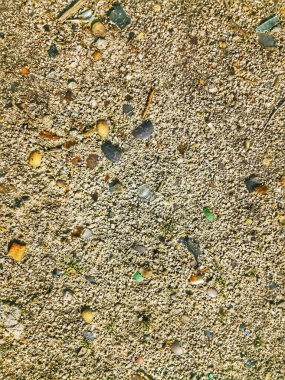 texture of a ground floor with pieces of glass