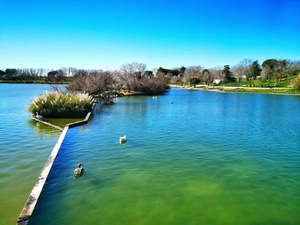 Beautiful Park Large Lake — Stock Photo, Image