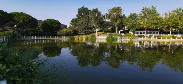 Schöner Park Mit Großem See — Stockfoto