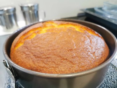 Fırından yeni çıkmış lezzetli bir pasta.