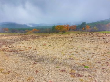 scrubland with holm oaks and beautiful blue sky clipart