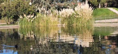 Sakin göl manzaralı açık bir günde hafif dalgalar etrafındaki kayaları ve çimenli kıyıları yansıtıyor.