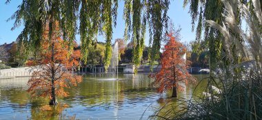 Sakin göl manzaralı açık bir günde hafif dalgalar etrafındaki kayaları ve çimenli kıyıları yansıtıyor.