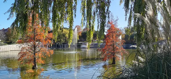 Sakin göl manzaralı açık bir günde hafif dalgalar etrafındaki kayaları ve çimenli kıyıları yansıtıyor.