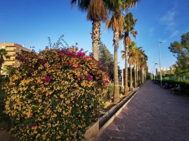 Ağaçlarla ve yeşil alanlarla dolu park