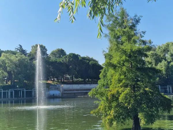 Sakin göl manzaralı açık bir günde hafif dalgalar etrafındaki kayaları ve çimenli kıyıları yansıtıyor.