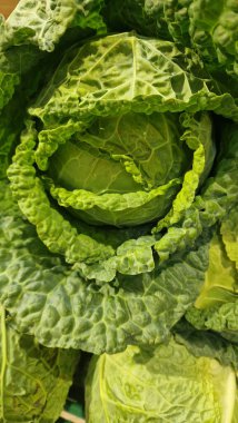 Çok büyük bir marulun yakın çekimi.