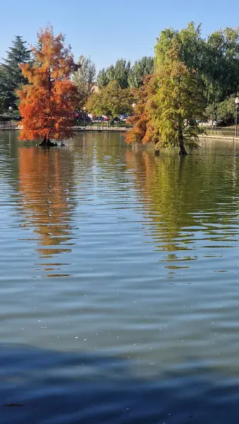 Sakin göl manzaralı açık bir günde hafif dalgalar etrafındaki kayaları ve çimenli kıyıları yansıtıyor.