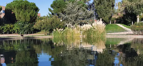 Sakin göl manzaralı açık bir günde hafif dalgalar etrafındaki kayaları ve çimenli kıyıları yansıtıyor.