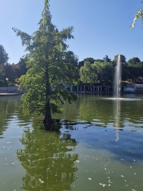 Sakin göl manzaralı açık bir günde hafif dalgalar etrafındaki kayaları ve çimenli kıyıları yansıtıyor.