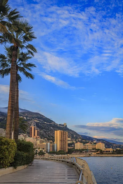 モナコ公国のモンテカルロにある地中海沿いの海岸線と高級住宅街の眺め — ストック写真