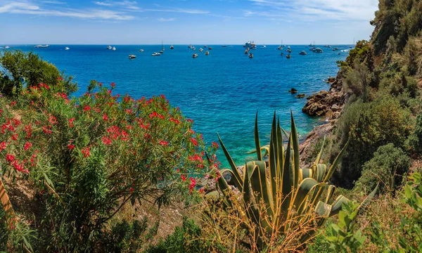 Vista Panoramica Sulla Penisola Roquebrune Cap Martin Sulla Spiaggia Vicino — Foto Stock