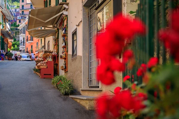 イタリア チンクテレの旧市街にある通りには 伝統的なカラフルな家や赤い花々のお土産屋さんがあります — ストック写真