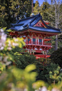 Sakura kiraz çiçeği San Francisco 'daki geleneksel Japon tapınağını çerçeveliyor Golden Gate Park Japon Çay Bahçesi