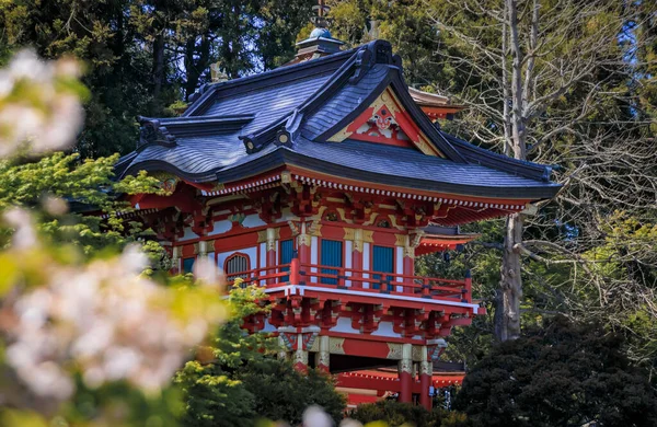 Sakura Cherry Blossom Framing Traditional Japanese Pagoda San Francisco Golden — Stock Photo, Image