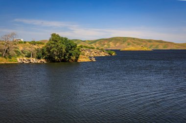 Central Valley California 'da süperçiçek, çayırı kaplayan kır çiçekleri ve güneşli bir günde yuvarlanan tepeler