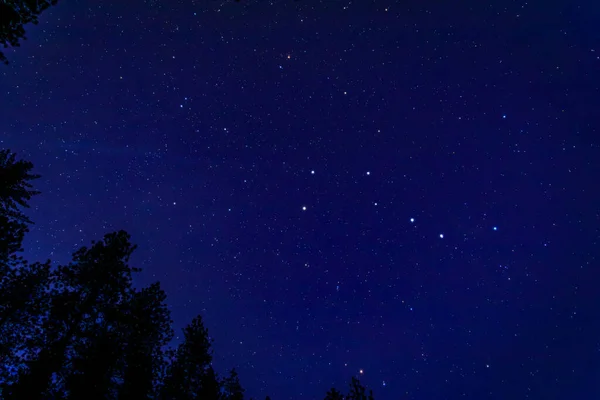 Большое Ковшовое Созвездие Национальном Парке Йосемити Звездную Ночь Горах Сьерра — стоковое фото