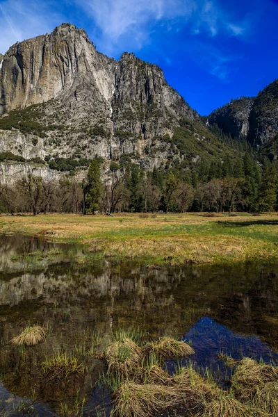 位于美国加利福尼亚州内华达山脉的约塞米蒂国家公园 春天到来了 水草上的倒影点缀满了雪融化 — 图库照片