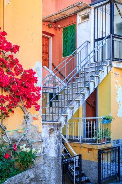 Akdeniz, İtalya 'da Cinque Terre' deki eski Manarola kasabasında dar bir sokakta geleneksel renkli evler