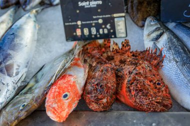 Eski kasabadaki balık pazarında sergilenen John Dory ya da Saint Pierre Balığı ya da Güney Fransa 'daki Vieil Antibes