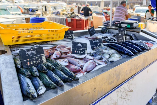 在法国南部老城区或维耶安蒂比斯市的鱼类市场上展出的新捕获的鱼 海鲱鱼和背鲈鱼 — 图库照片