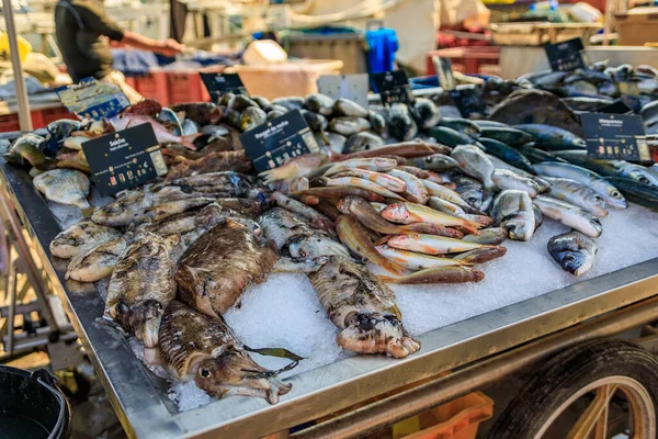 Frisch Gefangene Tintenfische Und Gestreifte Rotbarben Ausgestellt Auf Dem Fischmarkt — Stockfoto