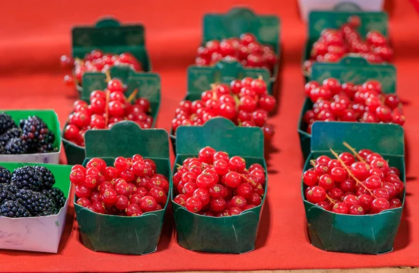 Juicy Ripe Local Red Currants Blackberries Local Covered Provencal Farmers — Stockfoto