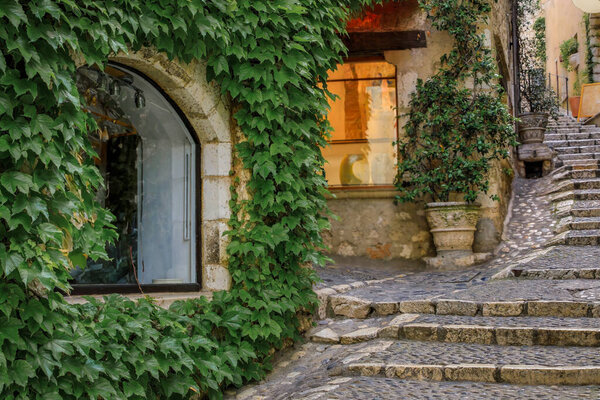 Ivy covered wall of a traditional old stone house in picturesque medieval town of Saint Paul de Vence, French Riviera, South of France