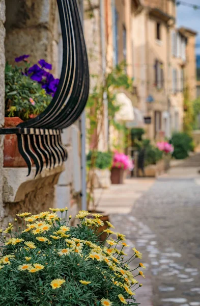 中世の町セントポール ヴェンス フランスのリヴィエラ フランス南部の花を通って見られる通りにある伝統的な古い石造りの家屋 — ストック写真