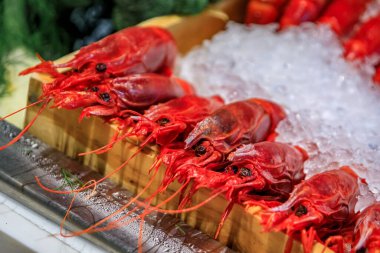 Beverly Hills, Los Angeles, Kaliforniya, ABD 'deki lüks bir restoranda buzda taze çiğ karides seçimi.