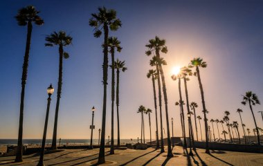 Gün batımında iskelede güneş gören palmiye ağacı siluetleri ve California 'da ünlü bir turizm beldesi olan Huntington Sahili' nde Pasifik Okyanusu plajı.