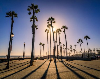 Gün batımında iskelenin yanında uzun gölgeleri olan palmiye ağaçları siluetleri ve Huntington Sahili 'nde Pasifik Okyanusu plajı, California' nın ünlü turizm beldesi.