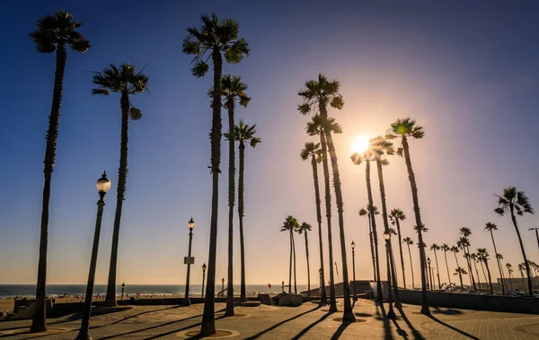 Gün batımında iskelede güneş gören palmiye ağacı siluetleri ve California 'da ünlü bir turizm beldesi olan Huntington Sahili' nde Pasifik Okyanusu plajı.