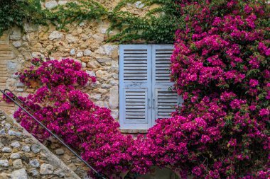 Fransa 'nın güneyindeki Saint Paul de Vence, Fransız Rivierası' nın ortaçağ kasabasındaki eski bir taş evin penceresini çerçeveleyen çiçek açan bugainvil çiçekleri.