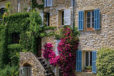 Açan bougainvilia, yasemin ve sarmaşık Fransa 'nın güneyindeki Saint Paul de Vence, Fransız Riviera kasabasındaki eski taş evin duvarını örttü.