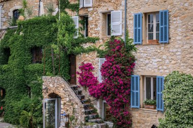 Açan bougainvilia, yasemin ve sarmaşık Fransa 'nın güneyindeki Saint Paul de Vence, Fransız Riviera kasabasındaki eski taş evin duvarını örttü.