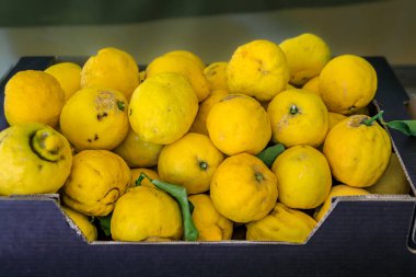 Renkli doğal sarı limon kokulu sabun. Fransa 'nın güneyindeki Menton, Fransız Rivierası' ndaki Vieille Ville 'de yerel bir çiftçi pazarında.