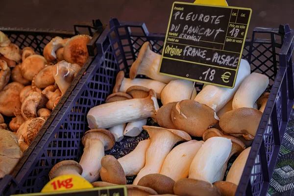 King trumpet mushrooms on display at a farmers market on Place Broglie Square in the historic center of Strasbourg, Alsace, France