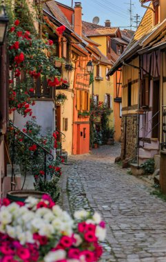 Fransa 'nın Eguisheim kentindeki Alsatian Şarap Yolu' nun popüler bir köyünde çiçeklerle süslenmiş geleneksel yarı ahşap evler.