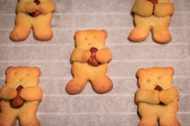 Adorable bear shaped homemade sugar cookies holding an almond in its paws on a baking sheet, fresh out of the oven, Christmas time holiday baking clipart